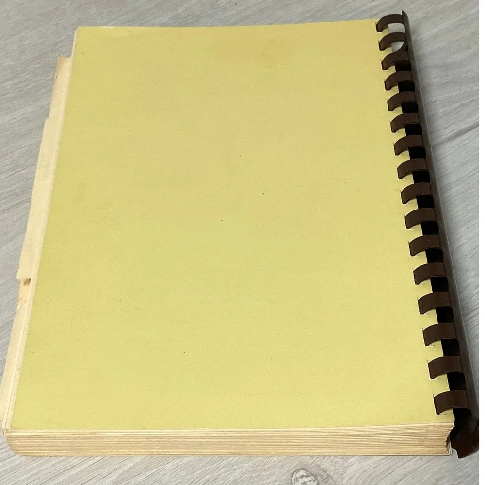 Vintage 1984 Burnt Offerings Cookbook First United Methodist Church Euless Texas